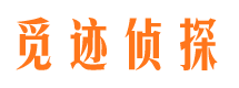 丹阳市调查公司